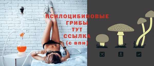 шишки Волоколамск