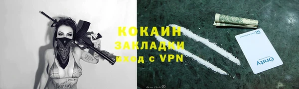 шишки Волоколамск