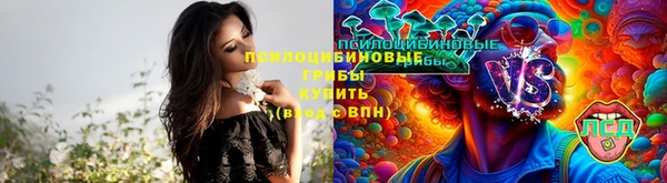 шишки Волоколамск