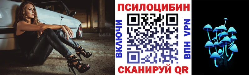 Галлюциногенные грибы Psilocybine cubensis  сколько стоит  Пестово 